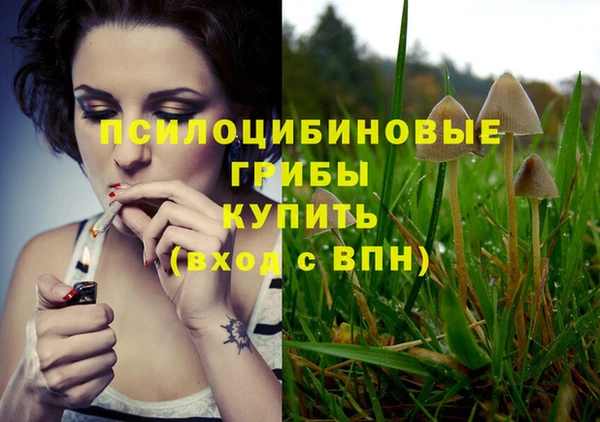 спиды Кукмор